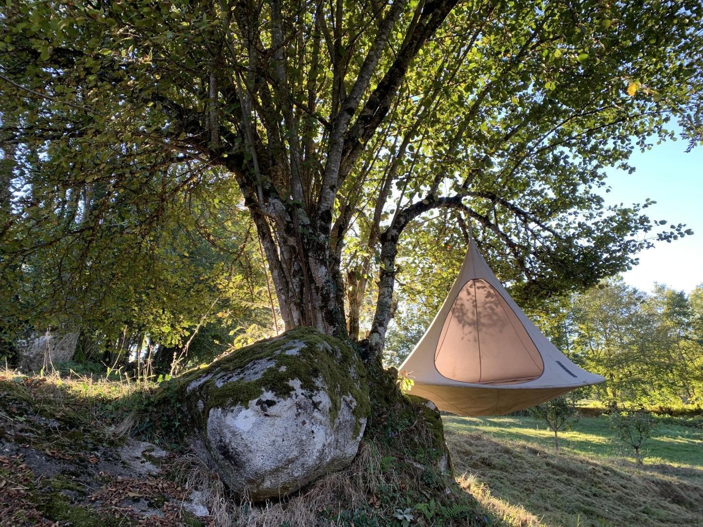 Hamac Cacoon suspendu à un noisetier. Pyrénées, France.