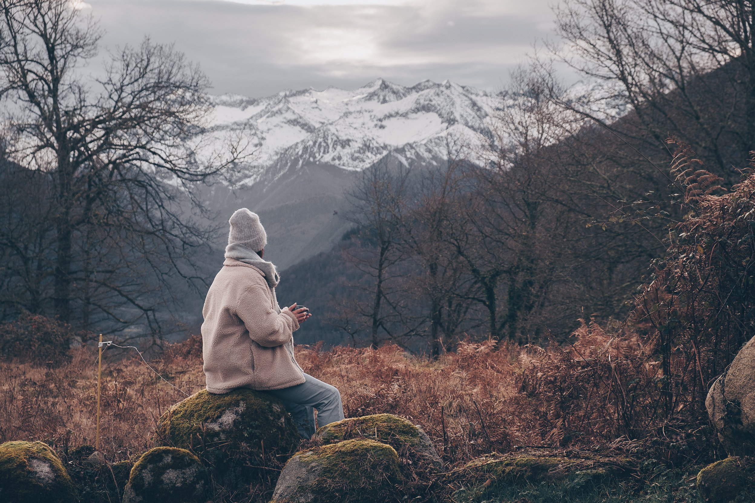 Paysage hivernal des Pyrénées françaises. 